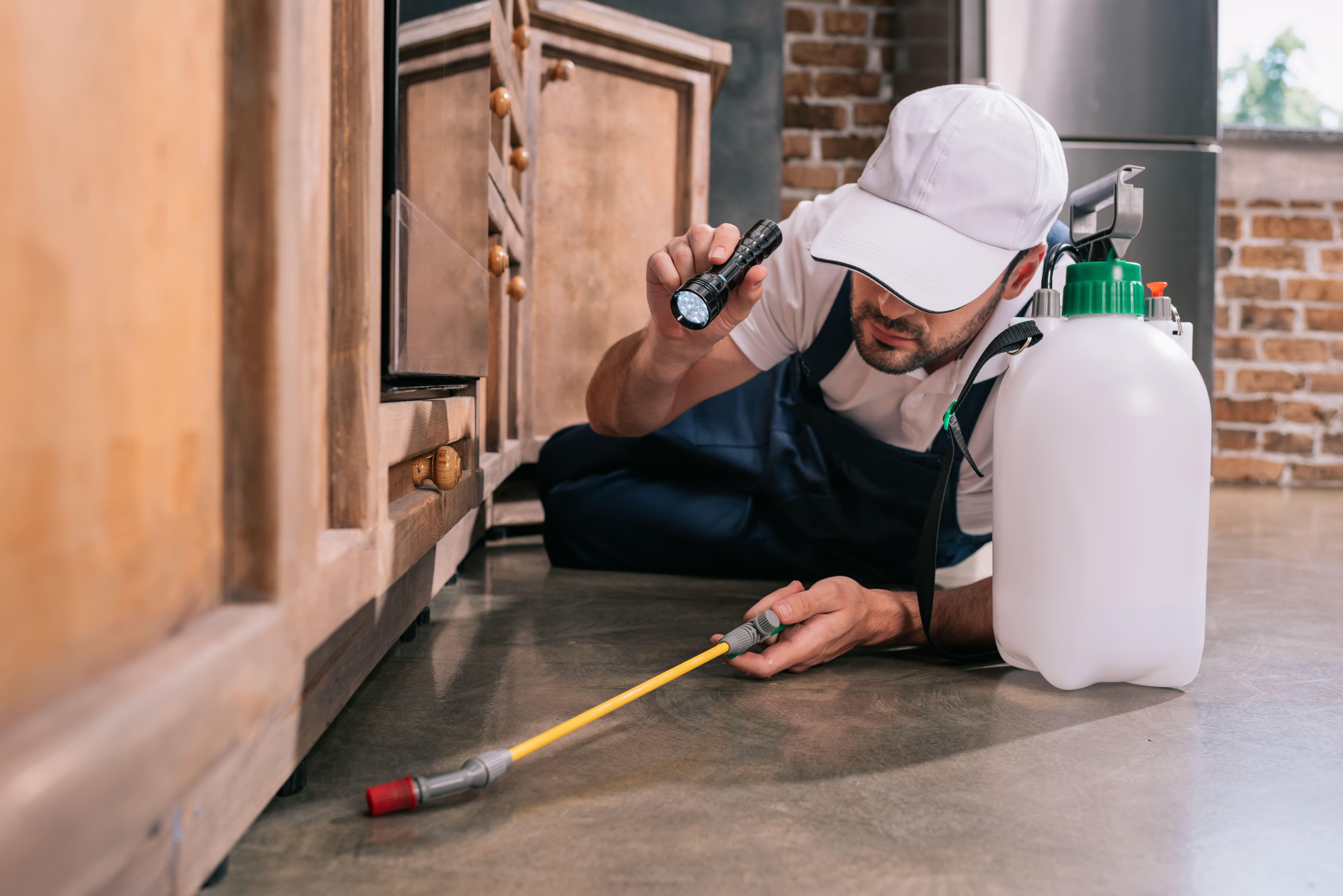 Técnico de fumigación inspeccionando la cocina, sosteniendo una linterna