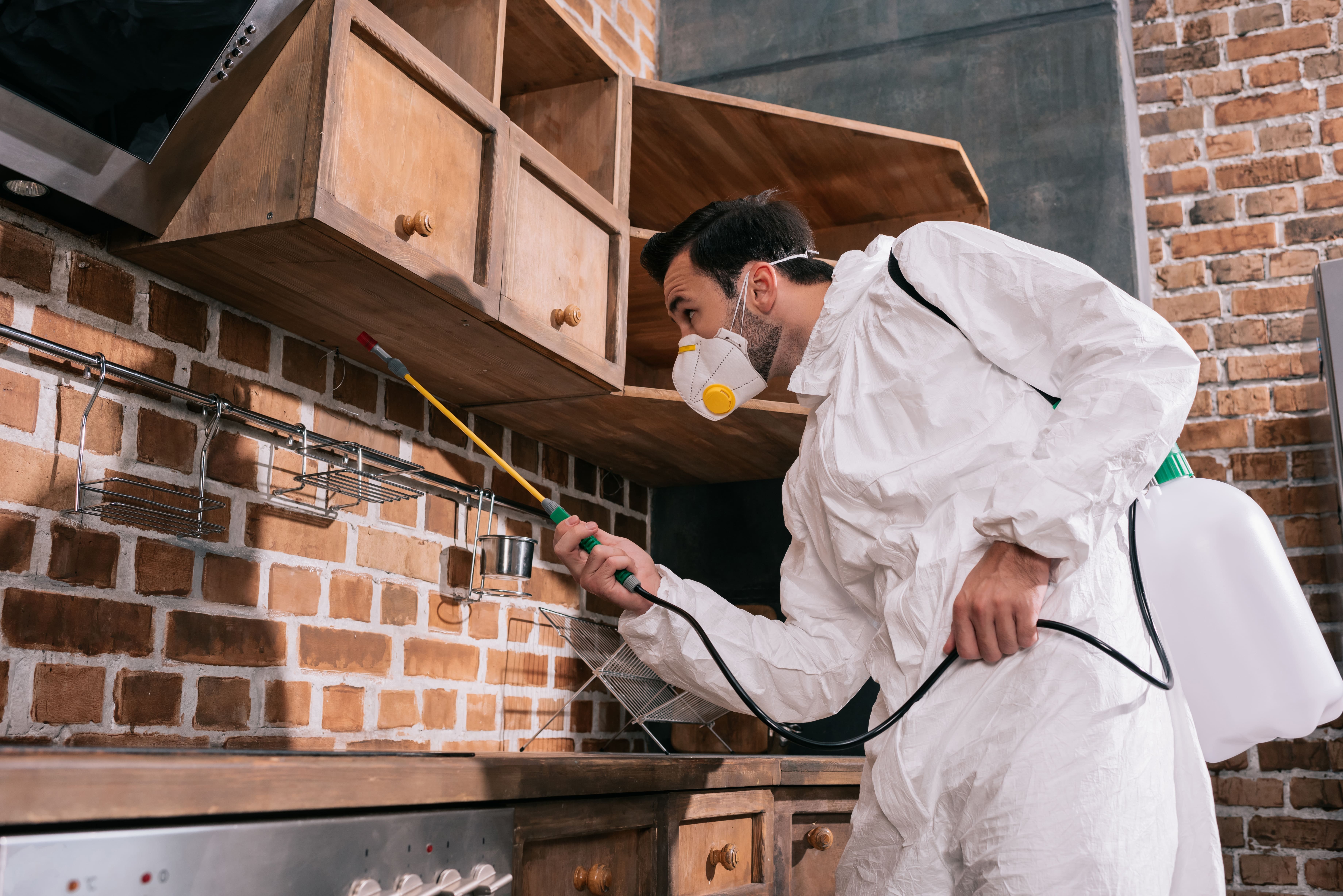 Técnivo de fumigación realizando el servicio de control de plagas en una cocina